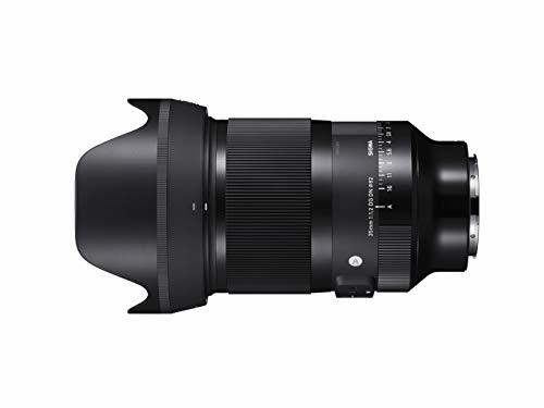 SIGMA 14-24mm F2.8 DG DN | Art A019 | Sony E(FE)マウント| Full