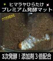 クワガタ幼虫を入れるだけ！　便利！800mlボトル入プレミアム3次発酵マット　　抜群の栄養価で大きくなります！　ミヤマ、ノコギリにお薦め_画像7