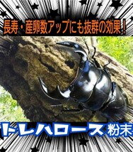 カブトムシ・クワガタ専用栄養添加剤　トレハロース粉末　マットや菌糸・ゼリーに混ぜるだけ！サイズアップ、産卵促進、長寿効果抜群です！_画像9