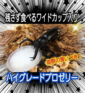 ハイグレードプロゼリー【100個】産卵促進・長寿・体力増進！オスも食べやすいワイドカップ　クワガタの餌　カブトムシの餌　昆虫ゼリー　