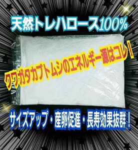 カブトムシ・クワガタ専用栄養添加剤　トレハロース粉末　マットや菌糸・ゼリーに混ぜるだけ！サイズアップ、産卵促進、長寿効果抜群です！