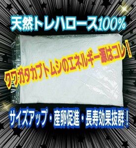 カブトムシ・クワガタ専用栄養添加剤　トレハロース粉末　マットや菌糸・ゼリーに混ぜるだけ！サイズアップ、産卵促進、長寿効果抜群です