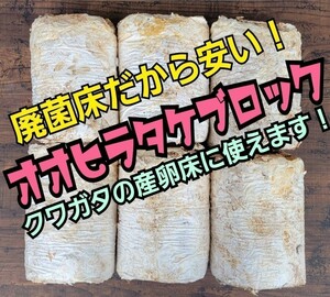 クワガタの産卵木の代わりにどうぞ！　マットに埋め込むだけで爆産！　オオヒラタケ菌床ブロック　　割り出しが楽で幼虫がたくさんとれます