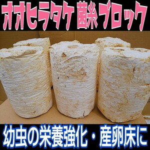 クワガタの産卵木の代わりにどうぞ！　マットに埋め込むだけで爆産！　オオヒラタケ菌床ブロック　割り出しが楽で幼虫がたくさんとれます