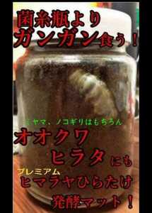 クワガタ幼虫を入れるだけ！　便利！800mlボトル入プレミアム3次発酵マット　　抜群の栄養価で大きくなります！　ミヤマ、ノコギリにお薦め