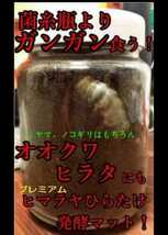 クワガタ幼虫を入れるだけ！　便利！800mlボトル入プレミアム3次発酵マット　　抜群の栄養価で大きくなります！　ミヤマ・ノコギリにお薦め_画像7