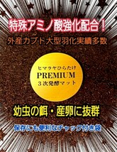 カブトムシ幼虫を入れるだけ！便利！20Lケース入り　プレミアム3次発酵マット　深いケースで大型成虫羽化できる！トレハロース強化配合_画像6