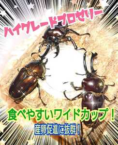 ハイグレードプロゼリー【100個】産卵促進・長寿・体力増進！オスも食べやすいワイドカップ　クワガタの餌　カブトムシの餌　昆虫ゼリー　