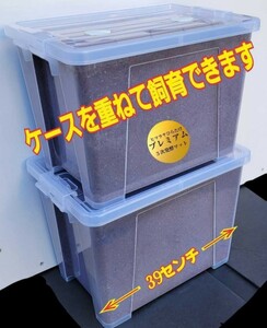 【2セット】カブトムシ幼虫を入れるだけ！便利！20Lケース入り　プレミアム発酵マット　深いケースで大型成虫羽化できる　トレハロース強化