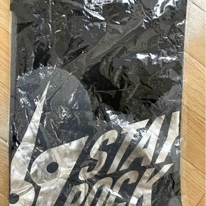 矢沢永吉69th STAY ROCK TOUR TシャツMサイズ