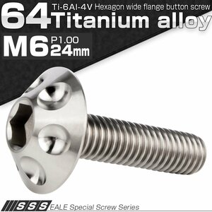 チタンボルトM6×24mm P=1.00 頭部径16mm ホールヘッド ボタンボルト 六角穴付き JA1130