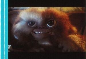 グレムリン 35mm映画フィルム ザックギャリガン ビリーペルツァーフィービーケイツ ケイトベリンジャー ジョーダンテ ●GREMLINS 連続5コマ