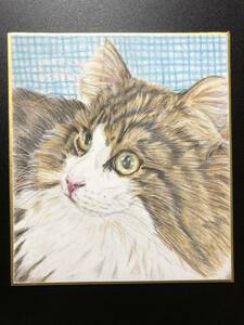 【手描きイラスト】ノルウェージャンフォレストキャット　猫　色鉛筆画　ミニ色紙