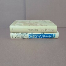 ・ヴァイキング　人文書院　ヨハネス・ブレンステッド著　・図説ヴァの歴史イキング　原書房（全２冊）_画像2