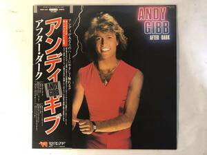 30302S 美盤 帯付12inch LP★アンディ・ギブ/ANDY GIBB/AFTER DARK★MWF 1077