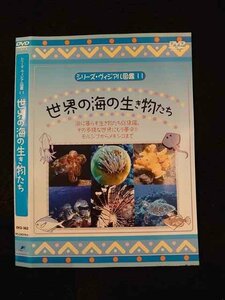 ○014899 レンタルUP□DVD シリーズ・ヴィジアル図鑑11 世界の海の生き物たち 362 ※ケース無