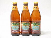 3本セット(コナビール ハナレイ IPA 瓶) 355ml×3本_画像1