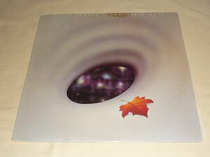 Robin Trower / Long Misty Days ～ US / 1976年 / Chrysalis CHR-1107 / Pitman pressing