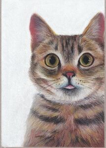 Art hand Auction ☆Originalillustration Überraschte Katze mit einem sehr süßen Ausdruck beim ersten Treffen, Kunstwerk, Malerei, Pastellzeichnung, Buntstiftzeichnung