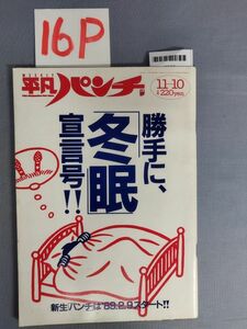 『平凡パンチ 昭和63年11月10日』/水沢裕子/深野晴美/南麻衣子/16P/Y4467/mm*23_3/55-04-1A