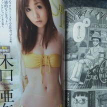 ヤングチャンピオン烈　2010年　5号　杉原杏璃　クリアファイルなし_画像9