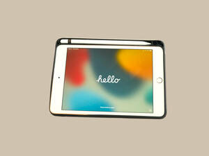 iPad mini5 Wi-Fi +Cellularモデル　256GB