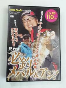 釣りDVD『辻本ナツ雄　やみつきロックフィッシング・メバル編。見れば必ず釣れる！メバル＆アジ。家邊克己』110分。即決。