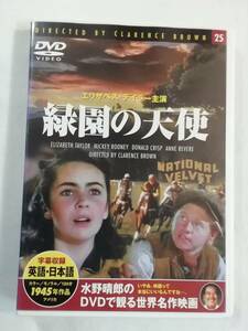 洋画DVD『緑園の天使』セル版。カラー作品。エリザベス・テイラー主演。1945年。同梱可能。即決。