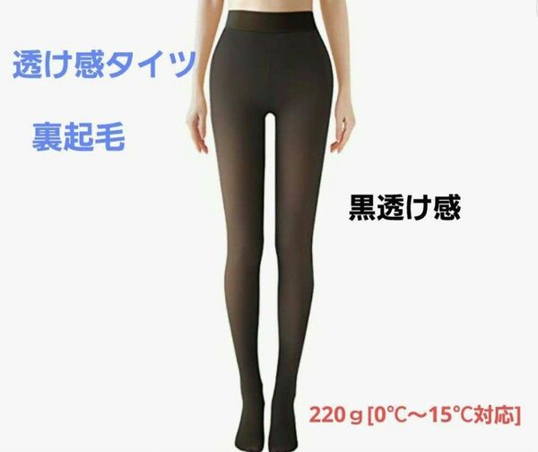 透け感タイツ 裏起毛タイツ 美脚 ストッキング風タイツ