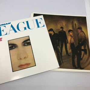 The Human League Dare / Fascination! 2cd Box ヒューマン・リーグの画像5