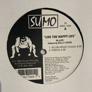 Blaze Featuring Billy Hope - Live The Happy Life