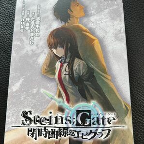 ＳＴＥＩＮＳ；ＧＡＴＥ　閉時曲線のエピグラフ（初回限定版）