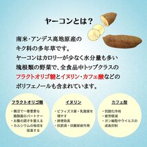 酪酸菌 短鎖脂肪酸 腸活サプリ ｜龍氣養命堂【発酵 ヤーコン】60本（菌活酵素 フラクトオリゴ糖 美活サプリメント）_画像5