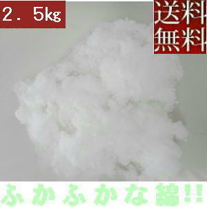 【送料無料】【返品不可】手芸わた約２５０ｇ ×１０セット【合計約２．５キロ】ポリエステル綿、新しくてふかふかな綿!!