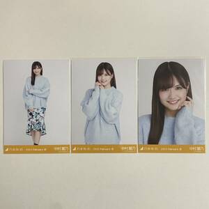 乃木坂46 中村麗乃 ワンカラーニット 生写真 コンプ 検) 会場 限定 月別 11th YEAR BIRTHDAY LIVE 2023.February-Ⅲ