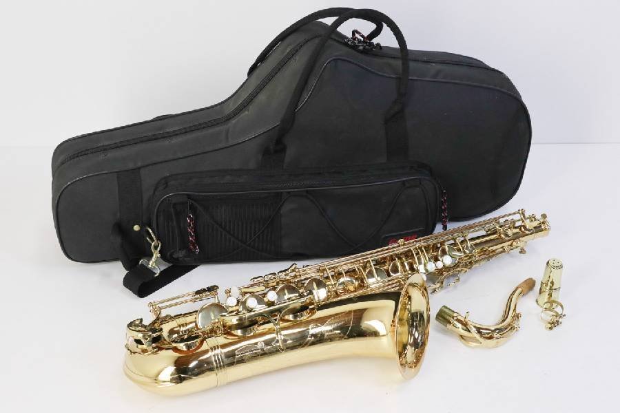 ヤフオク! -テナーサックスマウスピースの中古品・新品・未使用品一覧