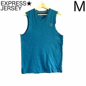 輸入古着 EXPRESS JERSEY ノースリーブTシャツ Vネック タンクトップ ロゴ刺繍 マリンブルー 水色