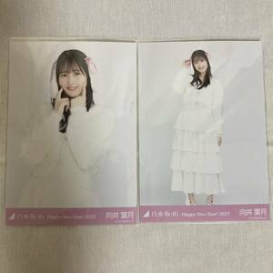 【 乃木坂46 向井葉月 Happy New Year! 2023 生写真 セミコンプ2枚セット 】チュウ ヒキ 干支 卯 兎 トレードなし 自引き