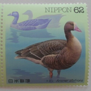 水辺の鳥シリーズ第7集　マガン　未使用62円切手