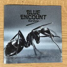 E335 中古CD100円 BLUE ENCOUNT Survivor_画像1