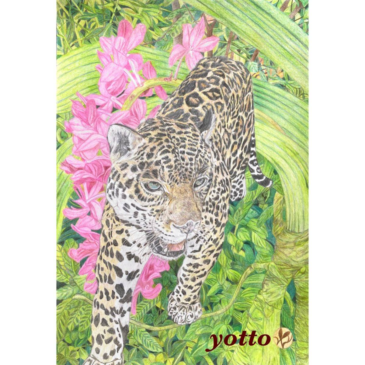 Colored pencil drawing Jaguar A4 with frame◇◆Hand-drawn◇Original drawing◆Animal◇◆Yotto◇, artwork, painting, pencil drawing, charcoal drawing