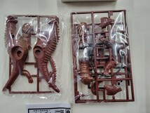 マルサン　プラモデル　復刻版　恐怖の地底怪獣　バラゴン　ミニプラモデルコレクション　_画像5