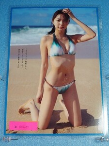 z547◆切り抜きラミネート◆川津明日香