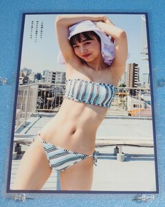 y040◆切り抜きラミネート◆井桁弘恵