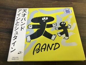 アインとシュタイン 天才バンド CD　即決　送料200円　301
