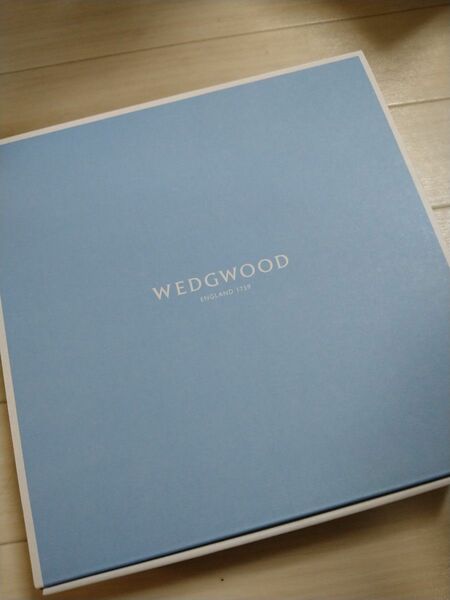 ウェッジウッド（Wedgwood） ジオ ユニークボウル 24cm