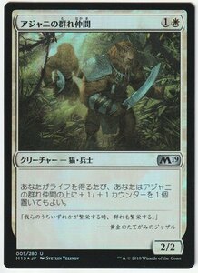 M19 Foil アジャニの群れ仲間/Ajani's Pridemate 日本語1枚