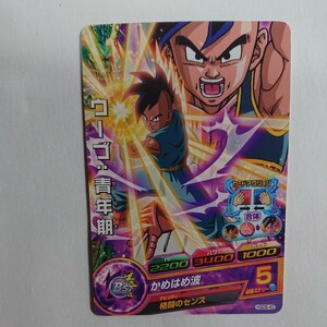 ドラゴンボールヒーローズ ウーブ:青年期 かめはめ波 HGD6-43