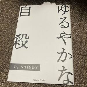 DJ SHINDY ゆるやかな自殺　本　書籍