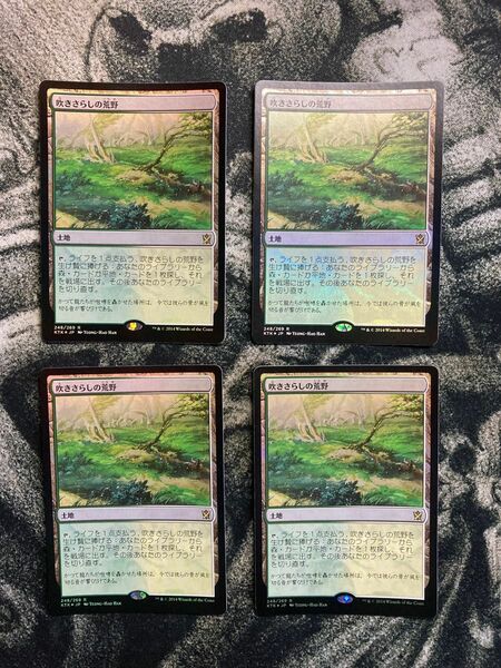 ＭＴＧ　　吹きさらしの荒野　foil ４枚